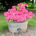 Les Malvaux - D'hotes Bed & Breakfast