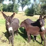 Bed & Breakfast Les Malvaux - D'hotes 3*